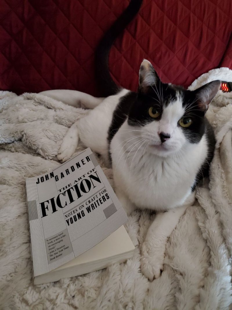 The Art of Fiction