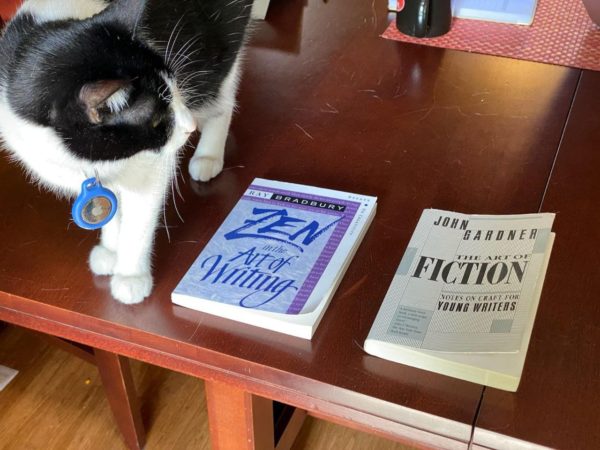 The Art of Fiction