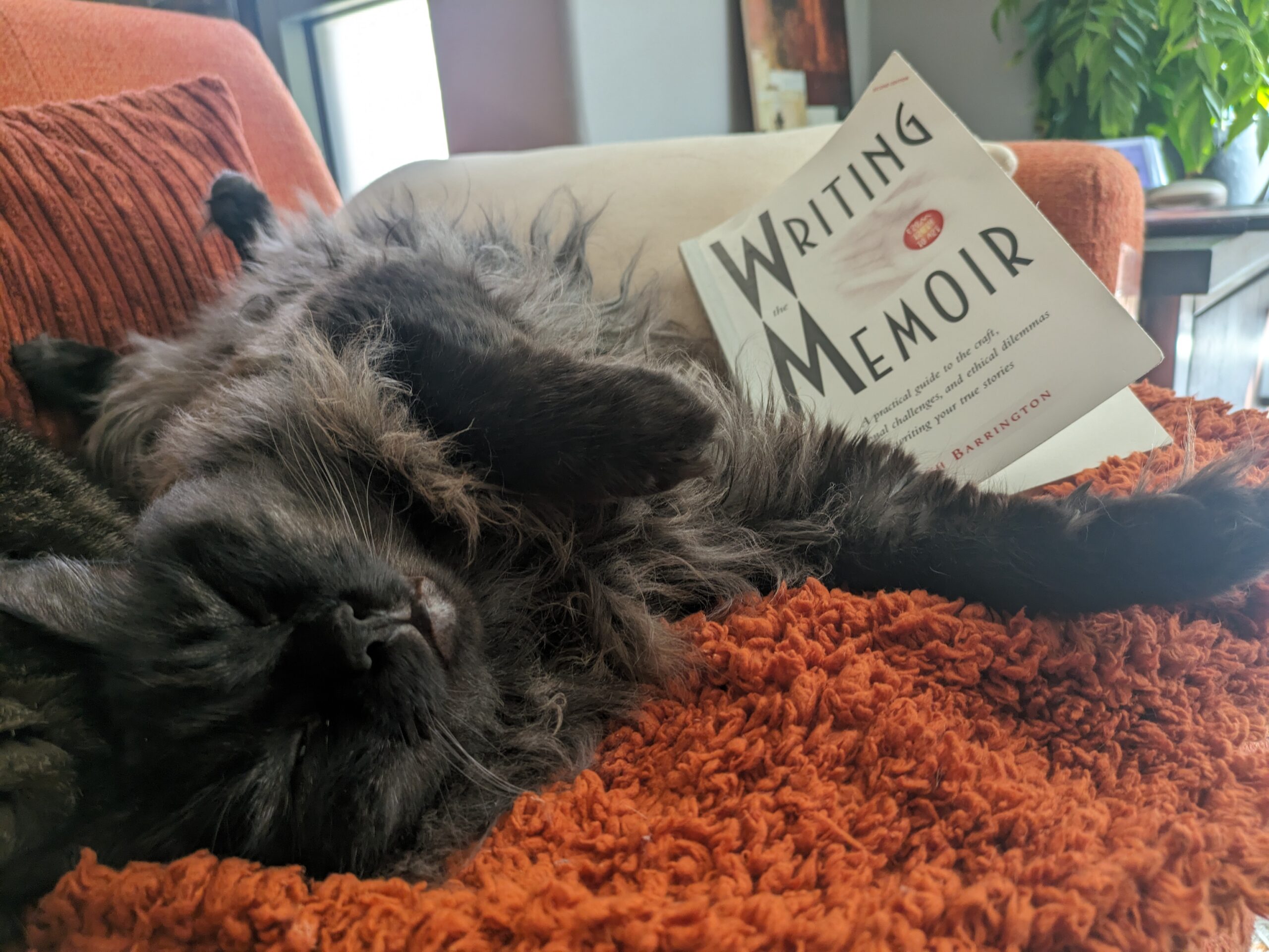 Writing the Memoir